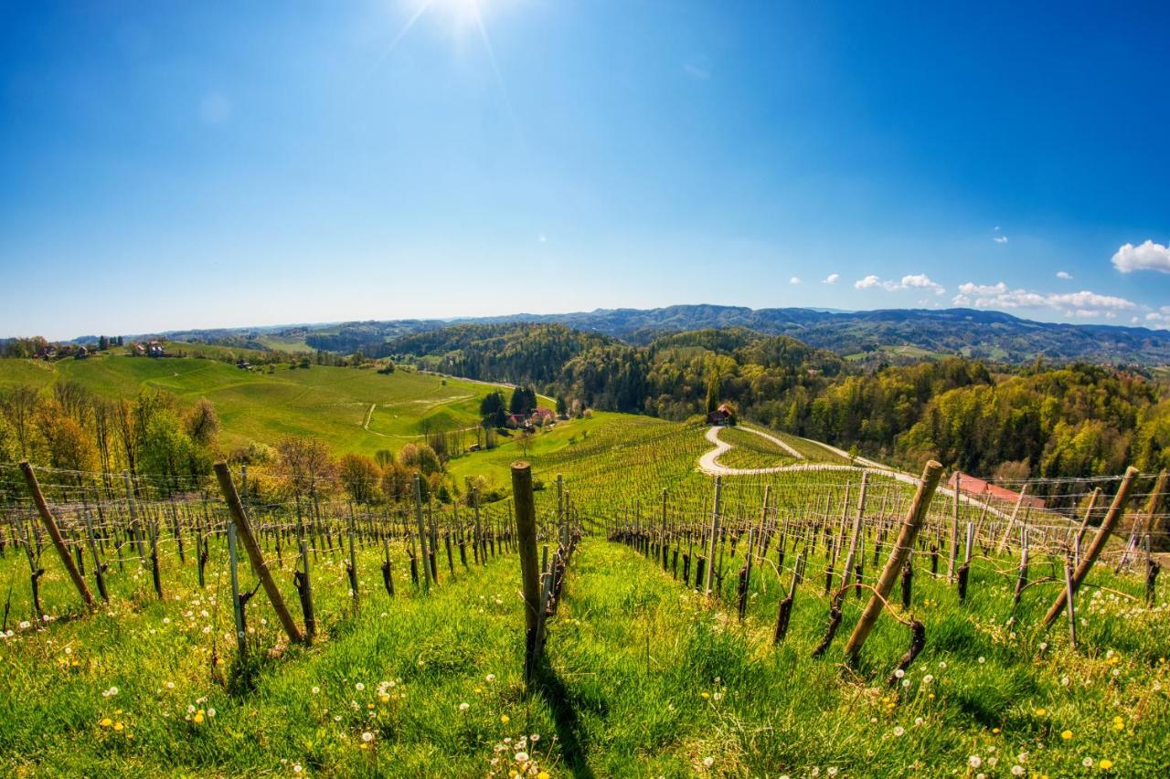 Turisticna Kmetija Dreisiebner Villa Spicnik Esterno foto