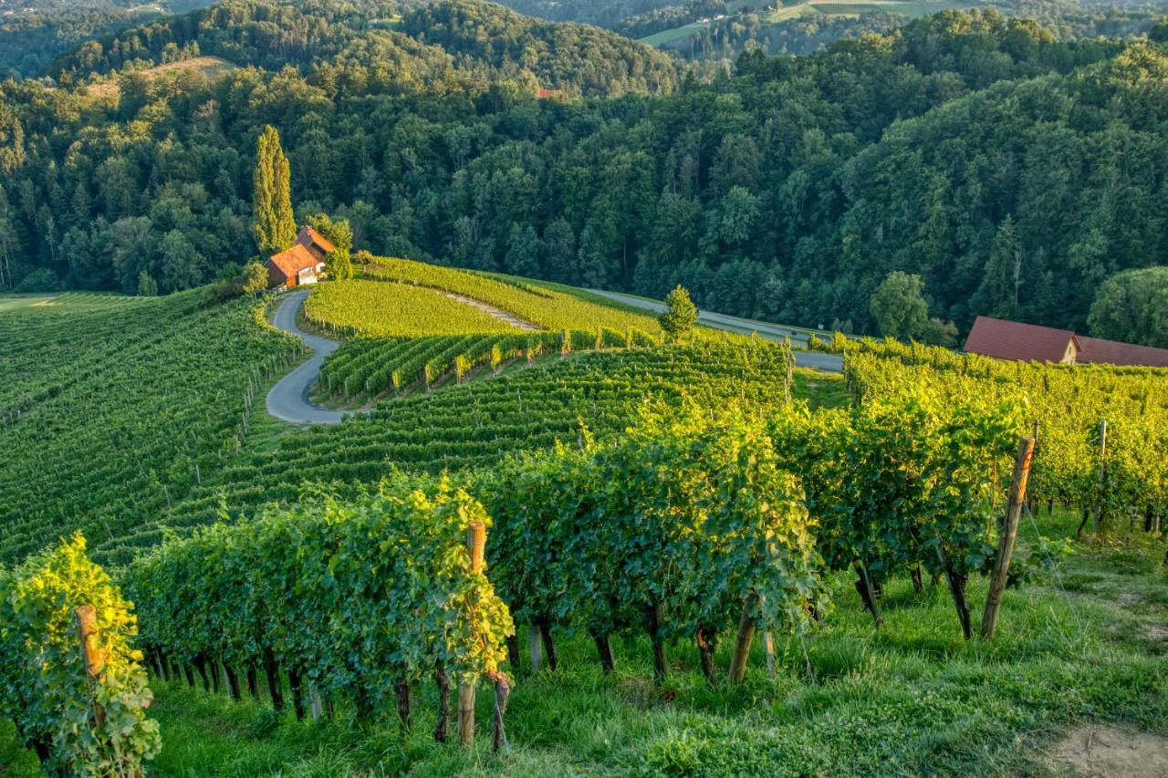Turisticna Kmetija Dreisiebner Villa Spicnik Esterno foto